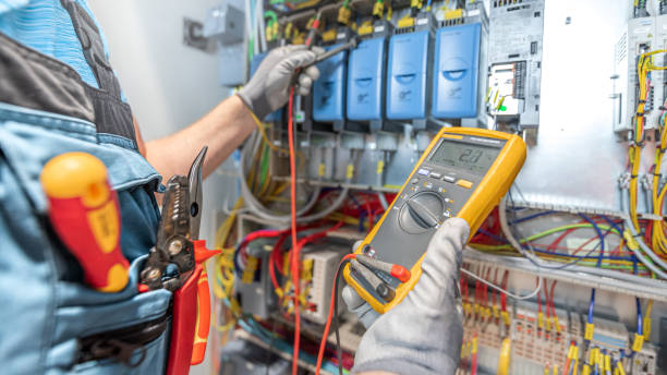 Best Affordable Electrician  in Wayland, IA