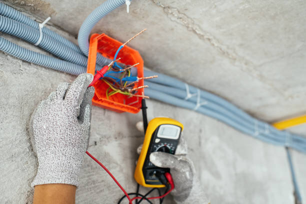 Best Electrical Repair Services  in Wayland, IA